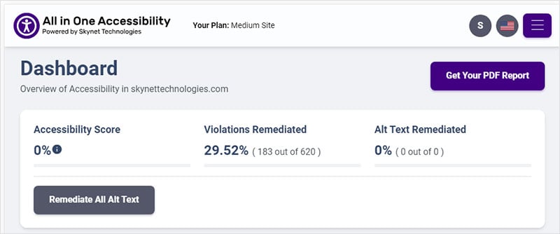 All in One Accessibility get your pdf report