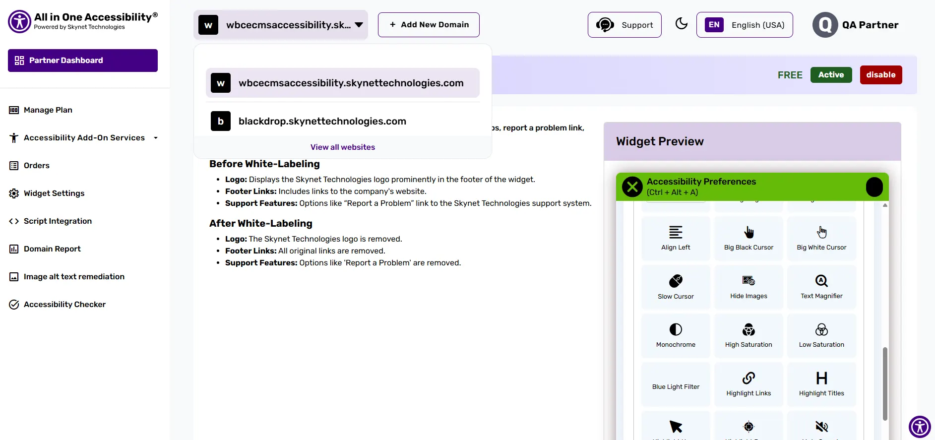 Accessibility dashboard with domain management and widget settings for customization